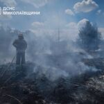 Огонь охватил более 10 гектаров: в Николаевской области за сутки ликвидировали 14 пожаров, — ФОТО