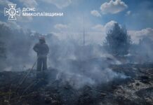 Огонь охватил более 10 гектаров: в Николаевской области за сутки ликвидировали 14 пожаров, — ФОТО