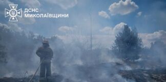 Огонь охватил более 10 гектаров: в Николаевской области за сутки ликвидировали 14 пожаров, — ФОТО