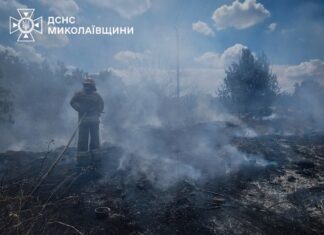 Огонь охватил более 10 гектаров: в Николаевской области за сутки ликвидировали 14 пожаров, — ФОТО