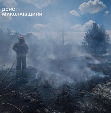 Огонь охватил более 10 гектаров: в Николаевской области за сутки ликвидировали 14 пожаров, — ФОТО