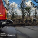 В Николаевской области горели поля и экосистемы: спасатели ликвидировали 16 пожаров, — ФОТО