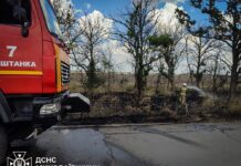 В Николаевской области горели поля и экосистемы: спасатели ликвидировали 16 пожаров, — ФОТО