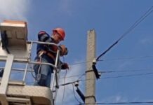 В Николаевской области модернизируют электросети: свет станет более надежным для 70 домовладений, — ФОТО