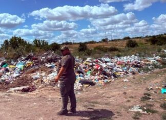 Мусор на тысячи квадратных метров: экологи обнаружили новые стихийные свалки в Николаевской области, — ФОТО