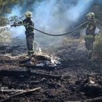 Огонь едва не уничтожил жилые дома: в Николаевской области за сутки ликвидировали 36 пожаров, — ФОТО