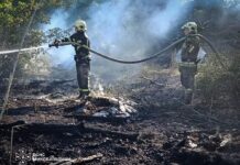 Огонь едва не уничтожил жилые дома: в Николаевской области за сутки ликвидировали 36 пожаров, — ФОТО