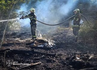 Огонь едва не уничтожил жилые дома: в Николаевской области за сутки ликвидировали 36 пожаров, — ФОТО