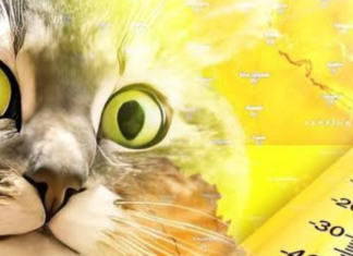 Почти +36°C: в Николаевской области зафиксировали температурные максимумы