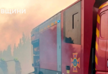 Почти полсотни пожаров в сутки: в Николаевской области огонь охватил более 43 гектара сухостоя, — ФОТО