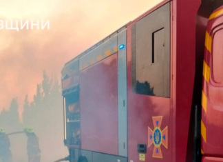 Почти полсотни пожаров в сутки: в Николаевской области огонь охватил более 43 гектара сухостоя, — ФОТО