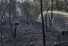 В Николаевской области огнеборцы ликвидировали последствия вражеских атак и масштабных пожаров, — ФОТО