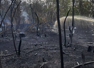 В Николаевской области огнеборцы ликвидировали последствия вражеских атак и масштабных пожаров, — ФОТО