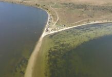 Коса Березанского лимана: где в Николаевской области встречаются степь, лиман и Черное море, — ФОТО