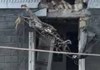 Под вражеским ударом оказалась Галицыновская община: есть пострадавшие и повреждения