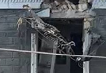 Под вражеским ударом оказалась Галицыновская община: есть пострадавшие и повреждения