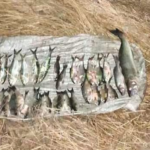 Незаконный отлов на Березанском лимане: ущерб окружающей среде оценили почти в 60 тысяч гривен