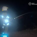 Огонь чуть не уничтожил лес в Николаевской области: за сутки спасатели ликвидировали 31 пожар, — ФОТО