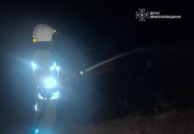 Огонь чуть не уничтожил лес в Николаевской области: за сутки спасатели ликвидировали 31 пожар, — ФОТО