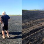 3060 гривен за огонь в поле: в Николаевской области обнаружили нарушителя, — ФОТО