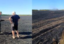 3060 гривен за огонь в поле: в Николаевской области обнаружили нарушителя, — ФОТО