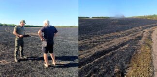 3060 гривен за огонь в поле: в Николаевской области обнаружили нарушителя, — ФОТО