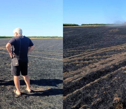 3060 гривен за огонь в поле: в Николаевской области обнаружили нарушителя, — ФОТО