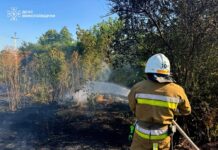 Огонь охватил более 43 гектаров: в Николаевской области спасатели ликвидировали десятки пожаров, — ФОТО