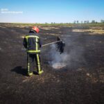 В Николаевской области мужчина погиб во время пожара сухостоя в собственном дворе, — ФОТО
