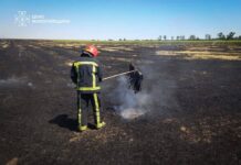В Николаевской области мужчина погиб во время пожара сухостоя в собственном дворе, — ФОТО