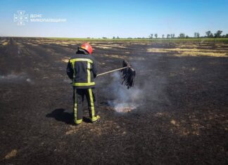 В Николаевской области мужчина погиб во время пожара сухостоя в собственном дворе, — ФОТО
