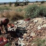 Сброс отходов после убоя скота в Николаевской области подтвердился: начата проверка, — ФОТО