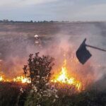 Более 20 гектаров в огне: пожары в Николаевской области, — ФОТО