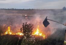 Более 20 гектаров в огне: пожары в Николаевской области, — ФОТО