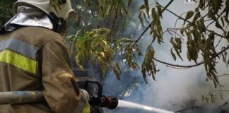 Огонь охватил леса и поля: в Николаевской области за сутки выгорело более 18 гектаров, — ФОТО