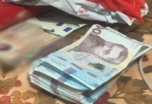 Взломал ячейку в супермаркете: в Николаеве полицейские задержали серийного вора за похищение ценностей пенсионерки, — ФОТО