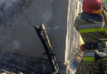 37 пожаров в сутки: спасатели Николаевщины ликвидировали последствия обстрелов, возгорания транспорта и масштабные пожары в экосистемах, — ФОТО
