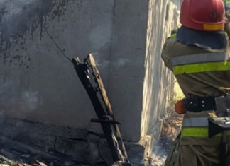 37 пожаров в сутки: спасатели Николаевщины ликвидировали последствия обстрелов, возгорания транспорта и масштабные пожары в экосистемах, — ФОТО