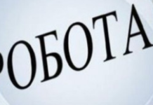 Работа водителем в Николаеве: обзор вакансий
