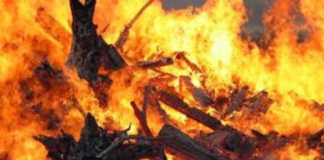 Почти два гектара выжженной земли в сутки: в Николаевской области ликвидировали 12 пожаров