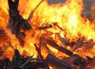 Почти два гектара выжженной земли в сутки: в Николаевской области ликвидировали 12 пожаров