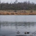 Под видом мелиорации – аренда: прокуратура судится за водохранилище в Николаевской области