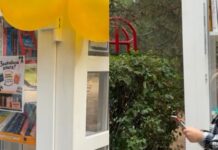 В парке Николаева установили открытый книжный шкаф, — ФОТО