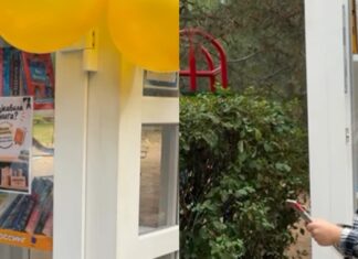 В парке Николаева установили открытый книжный шкаф, — ФОТО