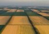 Земельные паи в Украине подорожали: где за гектар можно получить до 180 тысяч