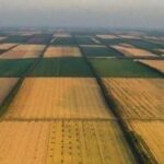 Земельные паи в Украине подорожали: где за гектар можно получить до 180 тысяч