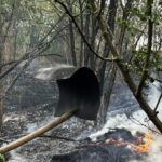 Обломки БпЛА повлекли за собой пожар на Николаевщине: за сутки зафиксировали 17 возгораний