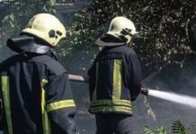 В Николаевской области выгорело более 21 гектар, — ФОТО