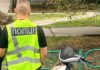 Был в розыске и снова принялся за старое: в Николаевской области мужчину подозревают в похищении мопеда, — ФОТО