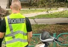 Был в розыске и снова принялся за старое: в Николаевской области мужчину подозревают в похищении мопеда, — ФОТО
